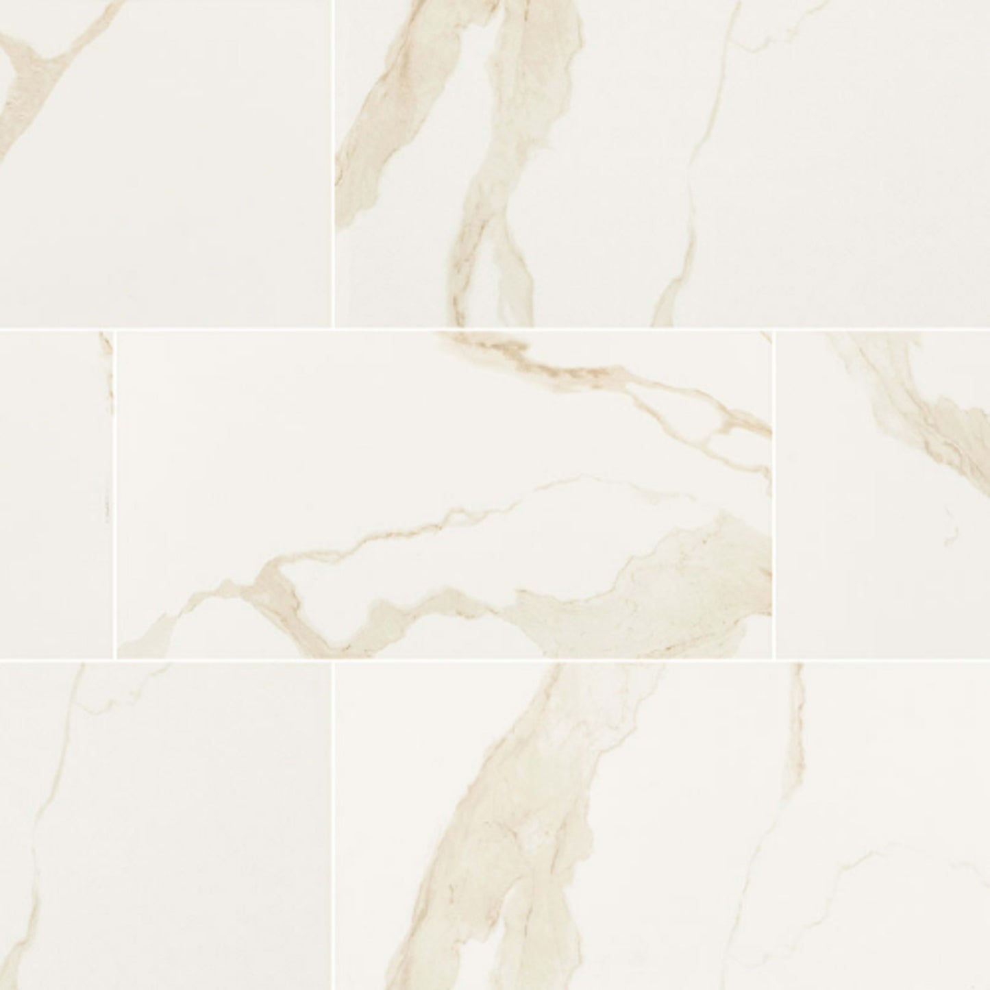 Eden in Calacatta - 24x48 Polished Tile