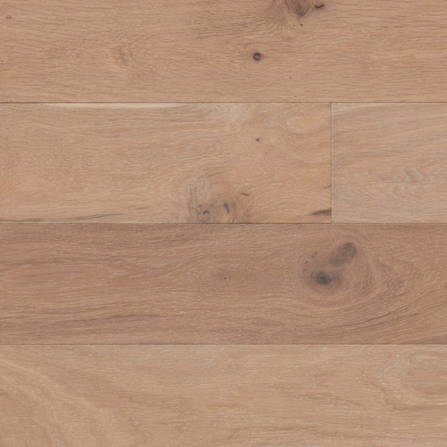 Adelaide in Enfield Hardwood