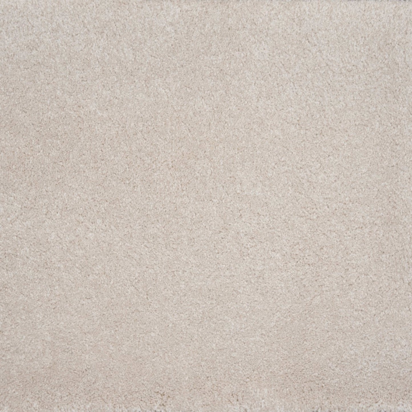 Evolve in Pearl Carpet