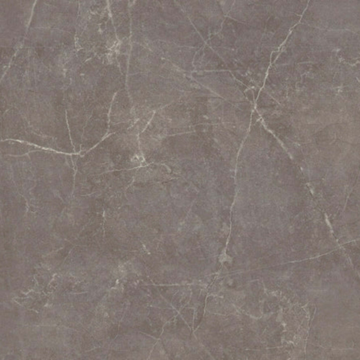 Sterlina II in Henna-12x24-Matte Tile