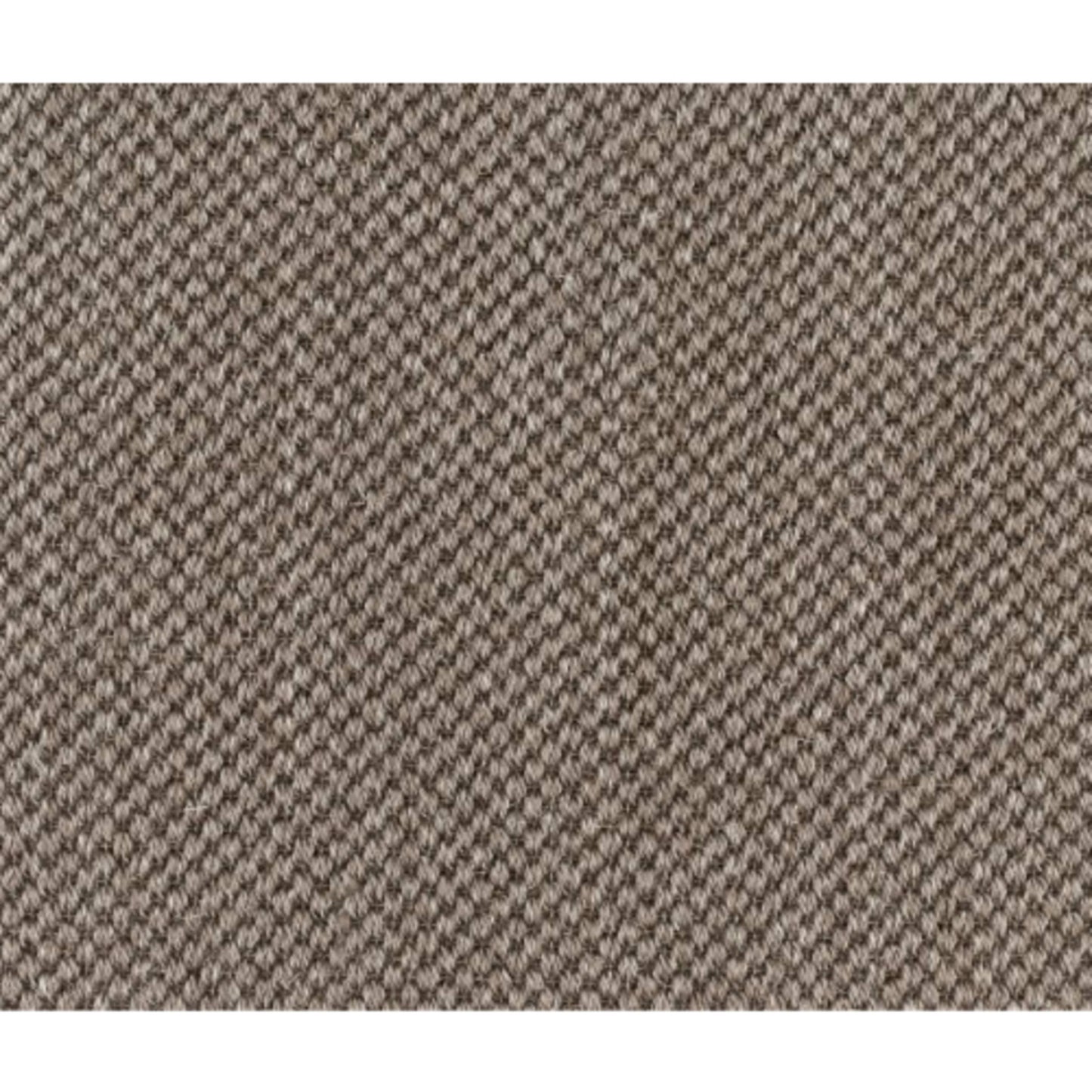Morley in Pepper Carpet