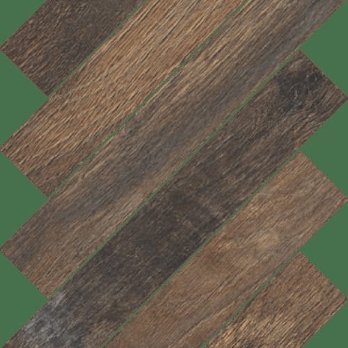 Cellar in Tone