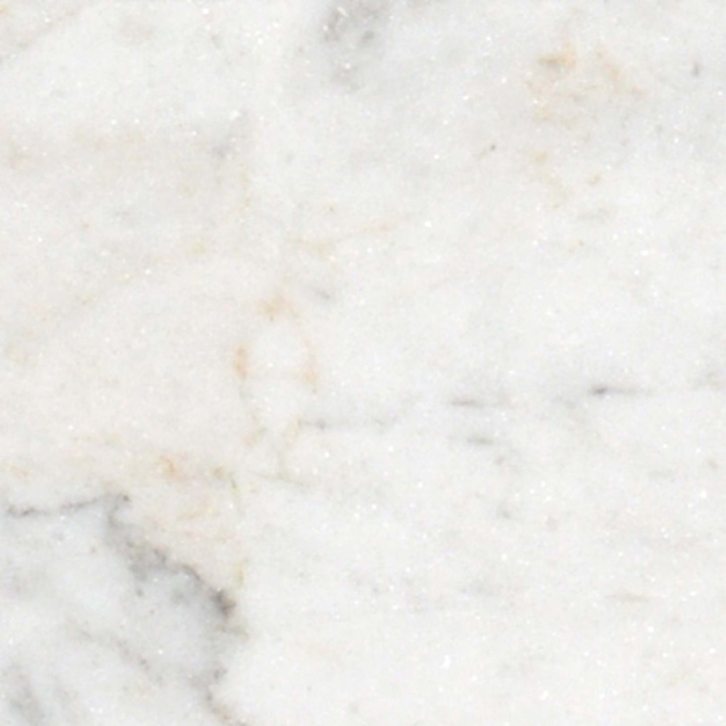 Premier Marble in Casablanca Honed 3x6 Natural Stone
