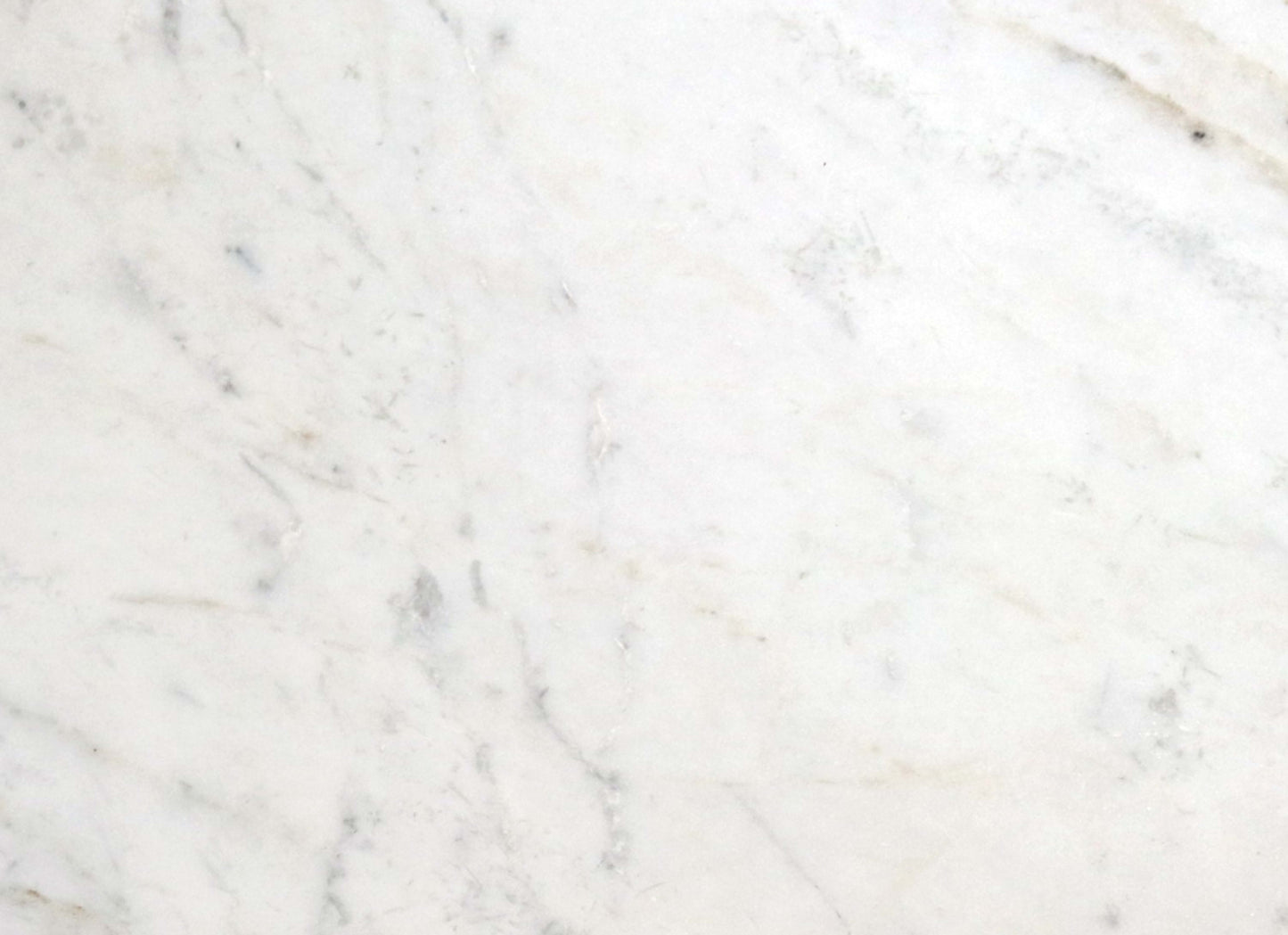 Premier Marble in Casablanca Polished 12x12