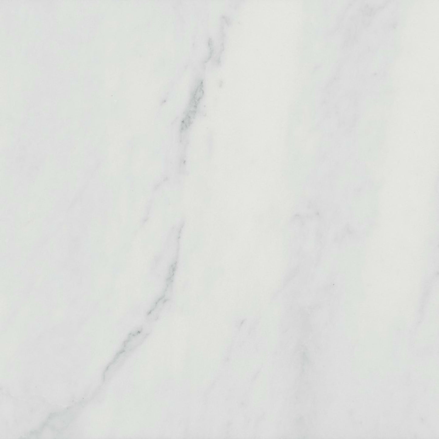 Premier Marble in Makrana Honed 12x12 Natural Stone