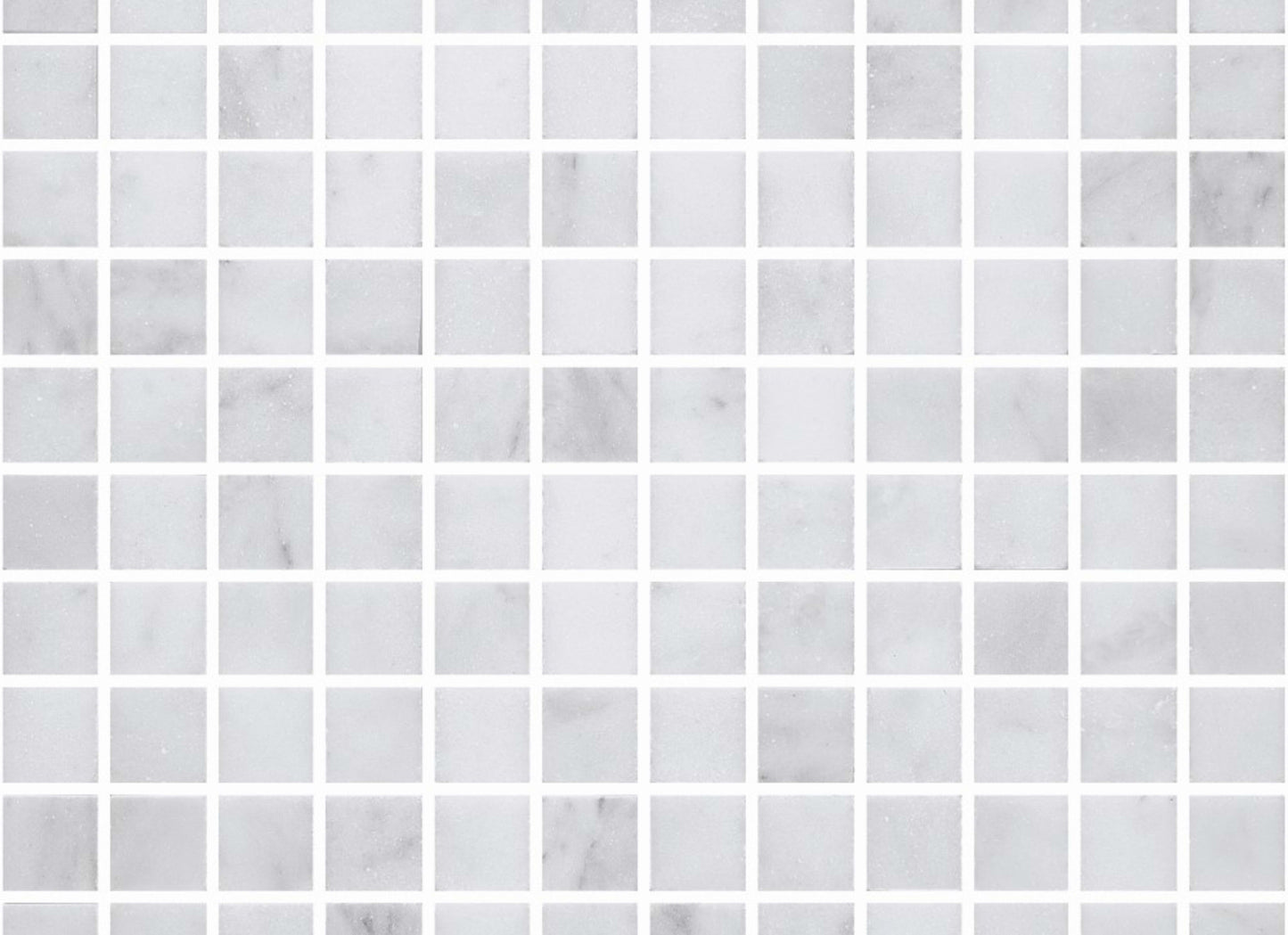 Premier Marble in Makrana Polished M1x1