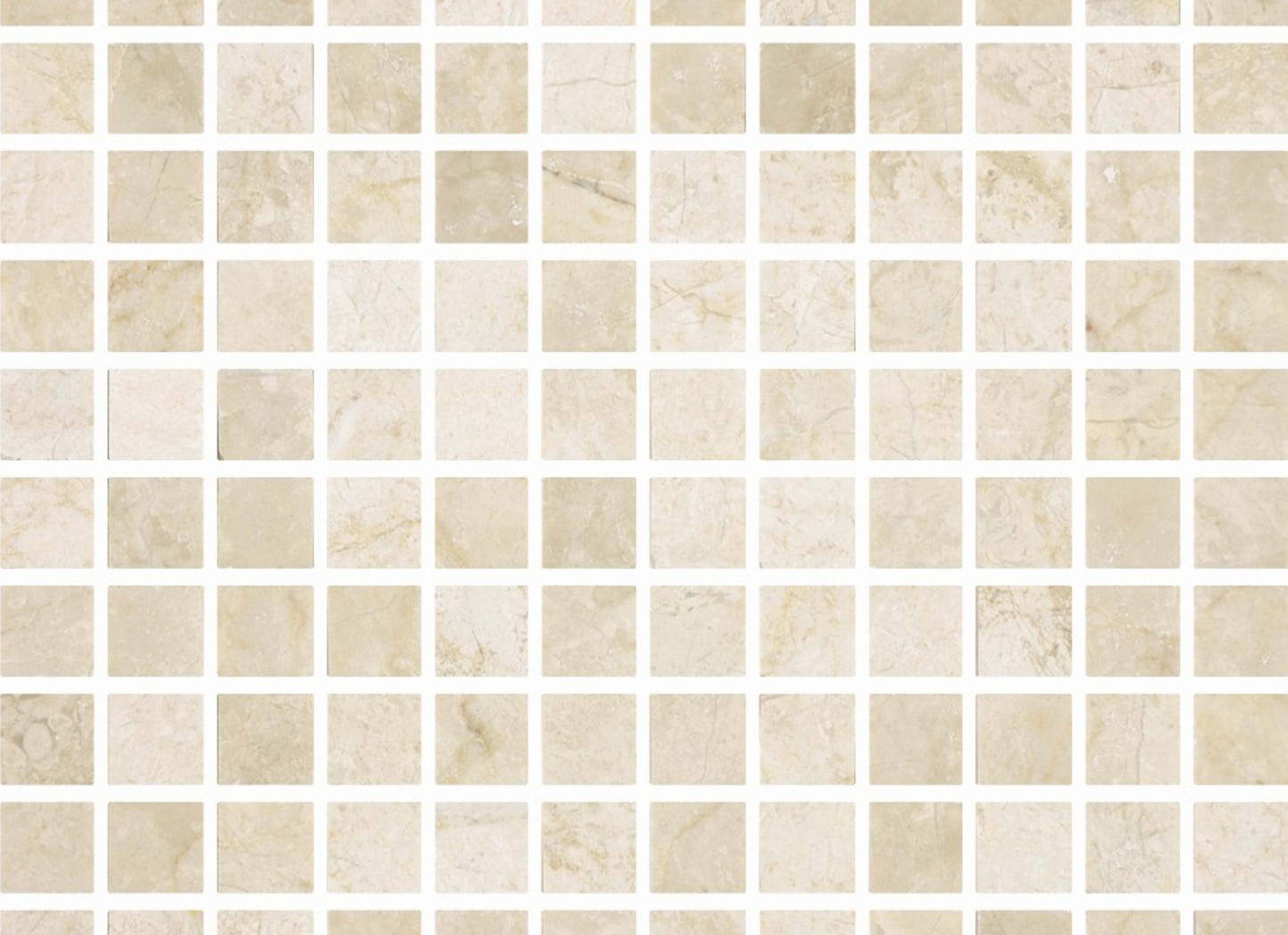 Premier Marble in Crema Honed M1x1