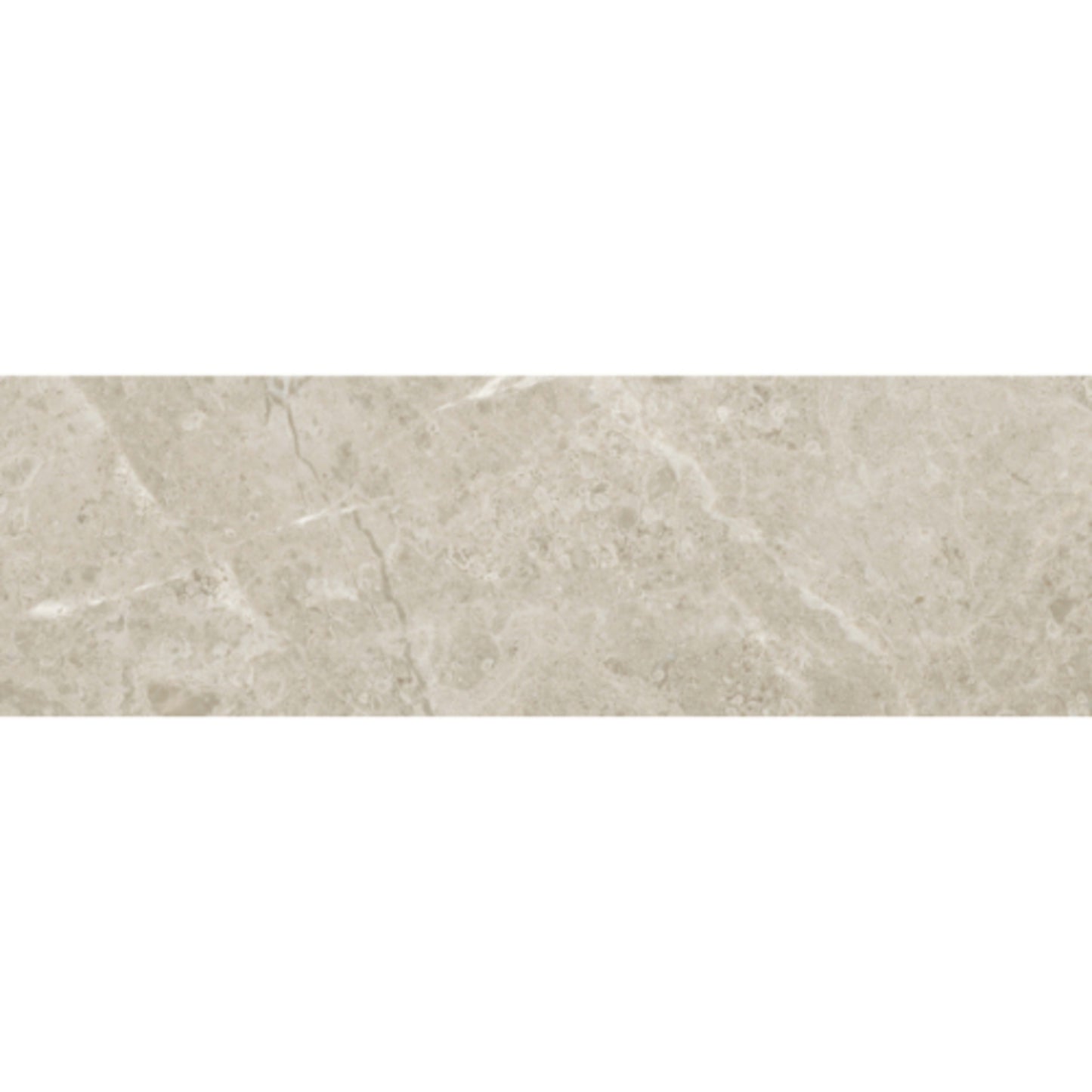 Premier Marble in Argento Honed 3x9 Natural Stone