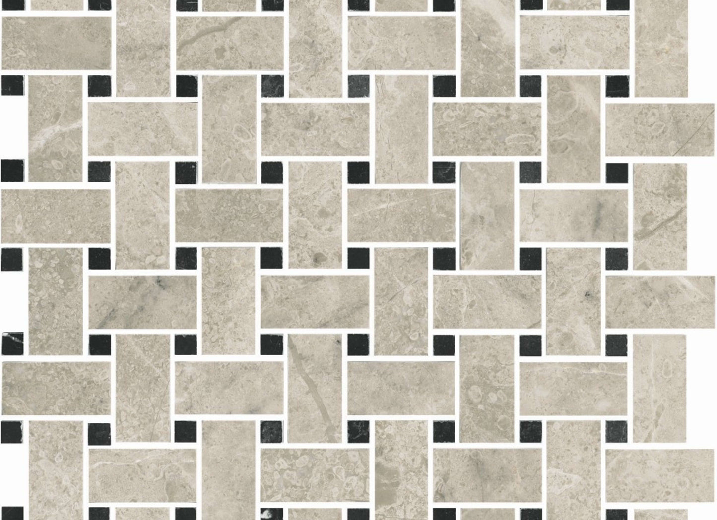 Premier Marble in Argento Honed M12bw