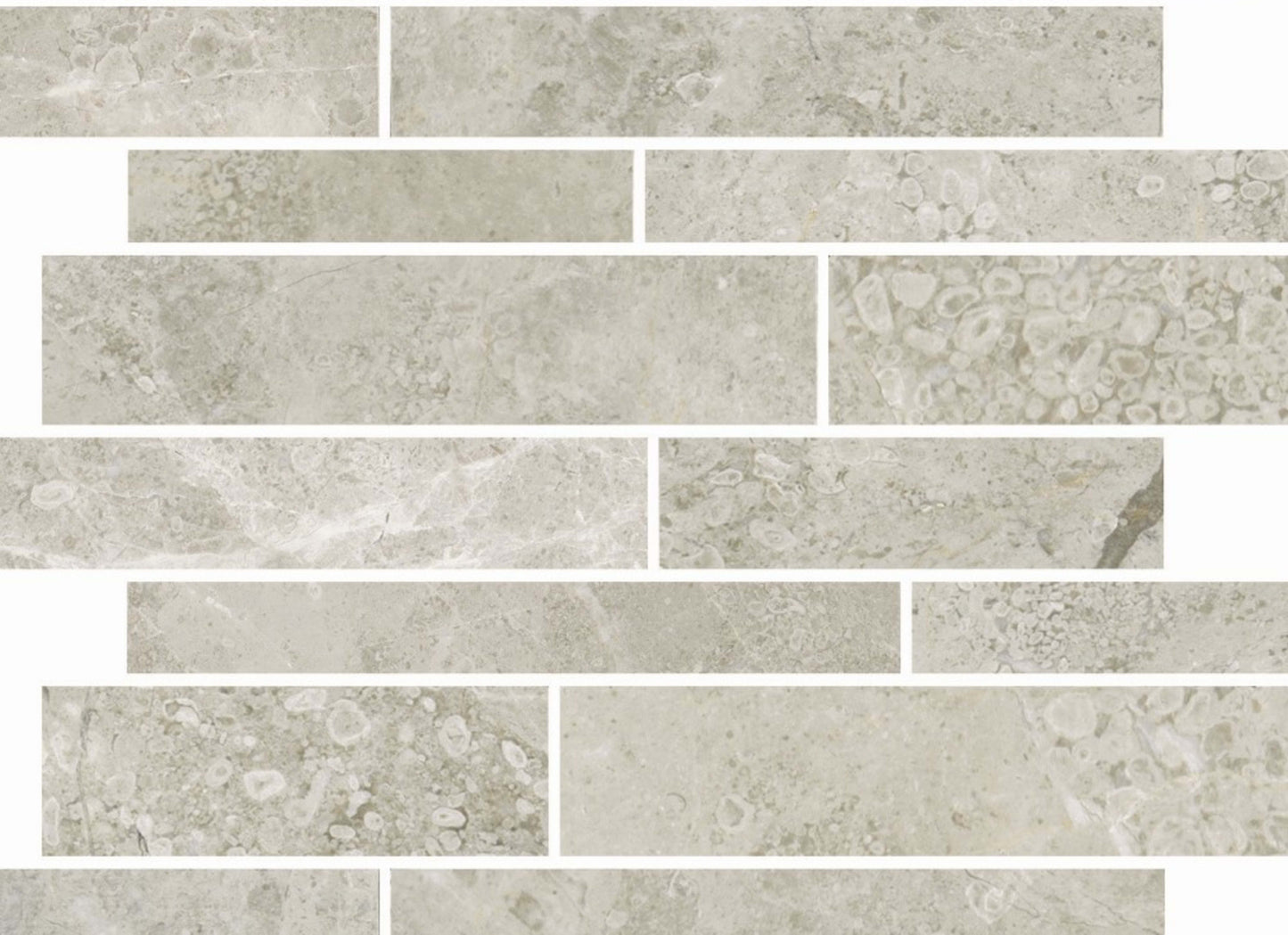 Premier Marble in Argento Honed Rsp12
