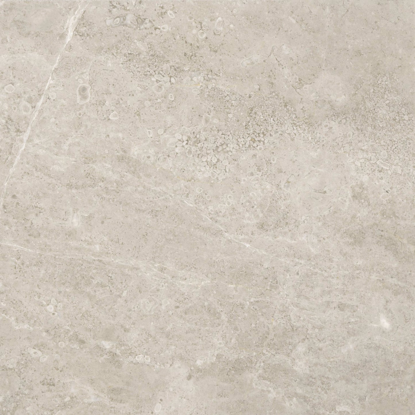 Premier Marble in Argento Polished 12x12 Natural Stone