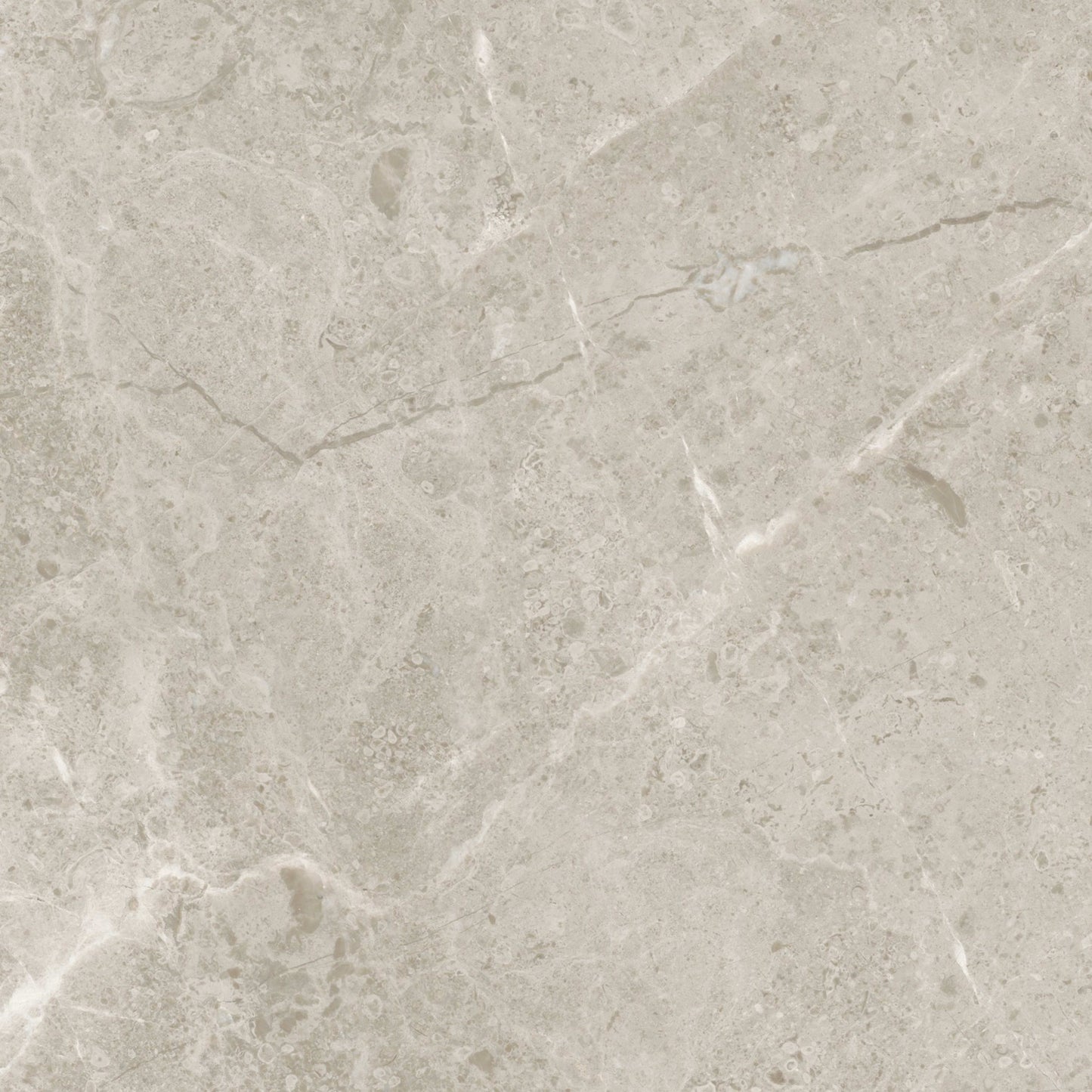 Premier Marble in Argento Polished 12x24 Natural Stone