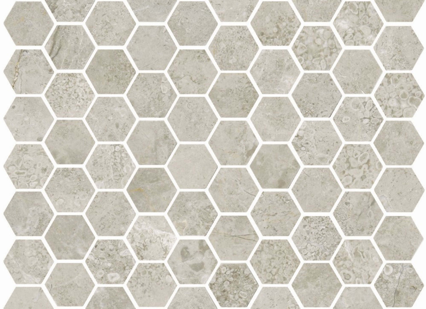 Premier Marble in Argento Polished M12hex