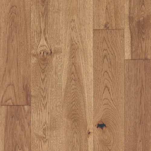 Latitude Collection® - Forest Park in Sunbeam