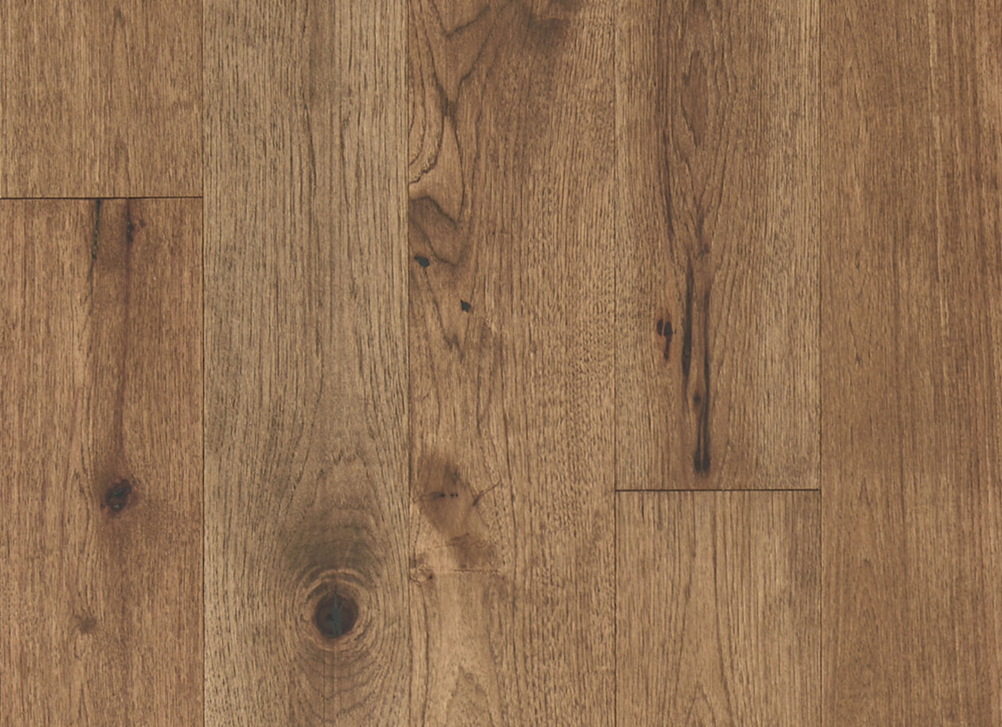 Latitude Collection - Forest Park in Trail