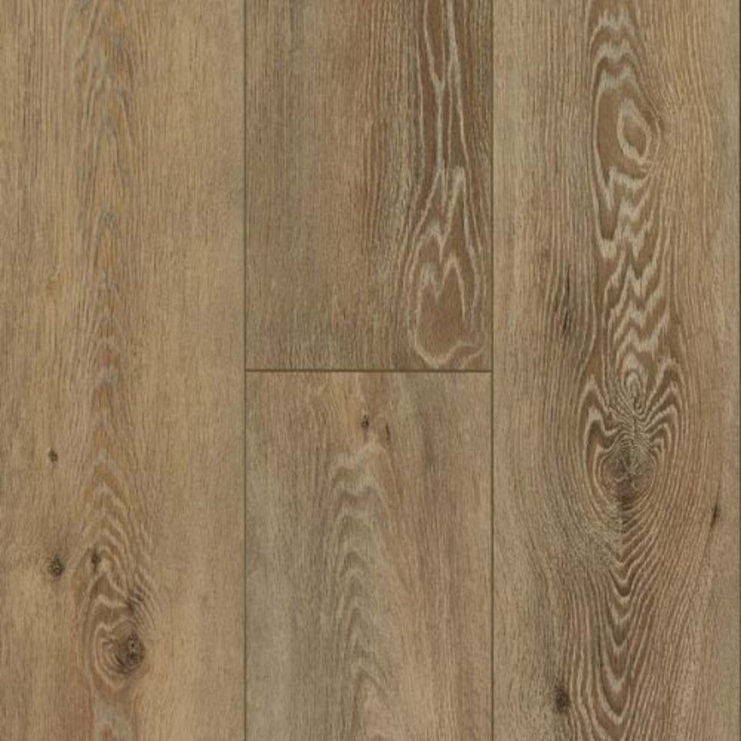TimberTru Back Home in Forest Trek 8" Laminate