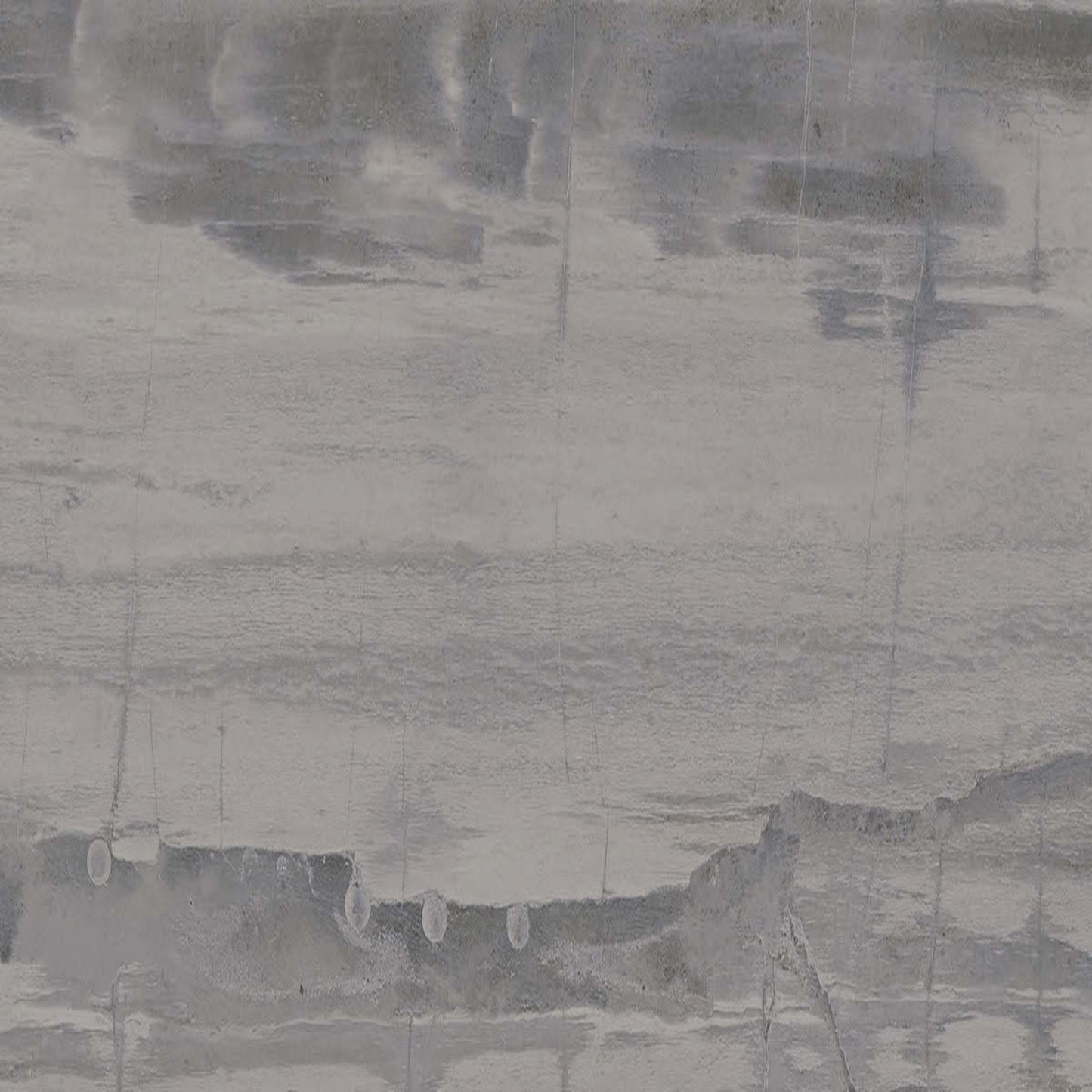 Fossil in Grey 24x48 Tile