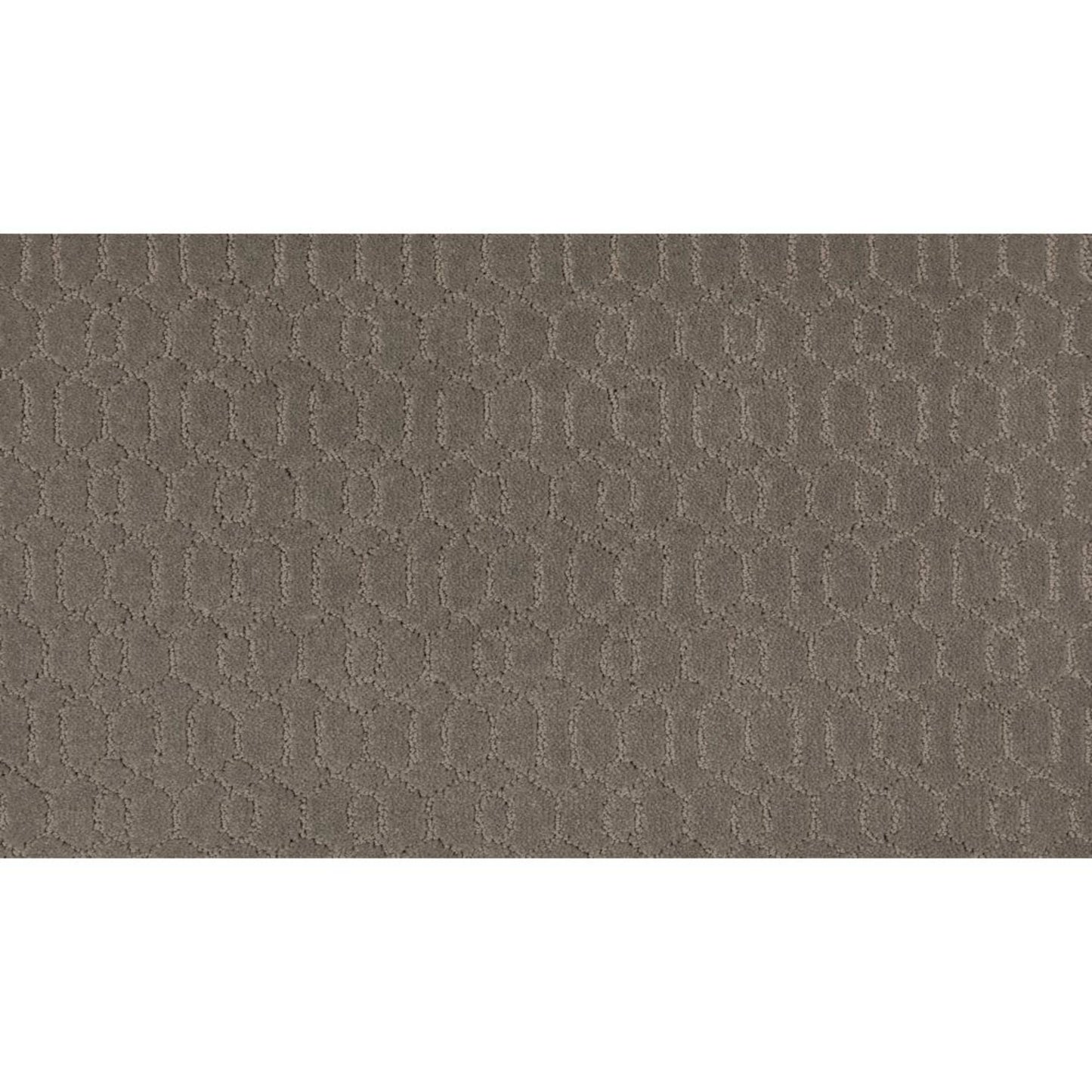 Delicate Tracery in Northwind Carpet