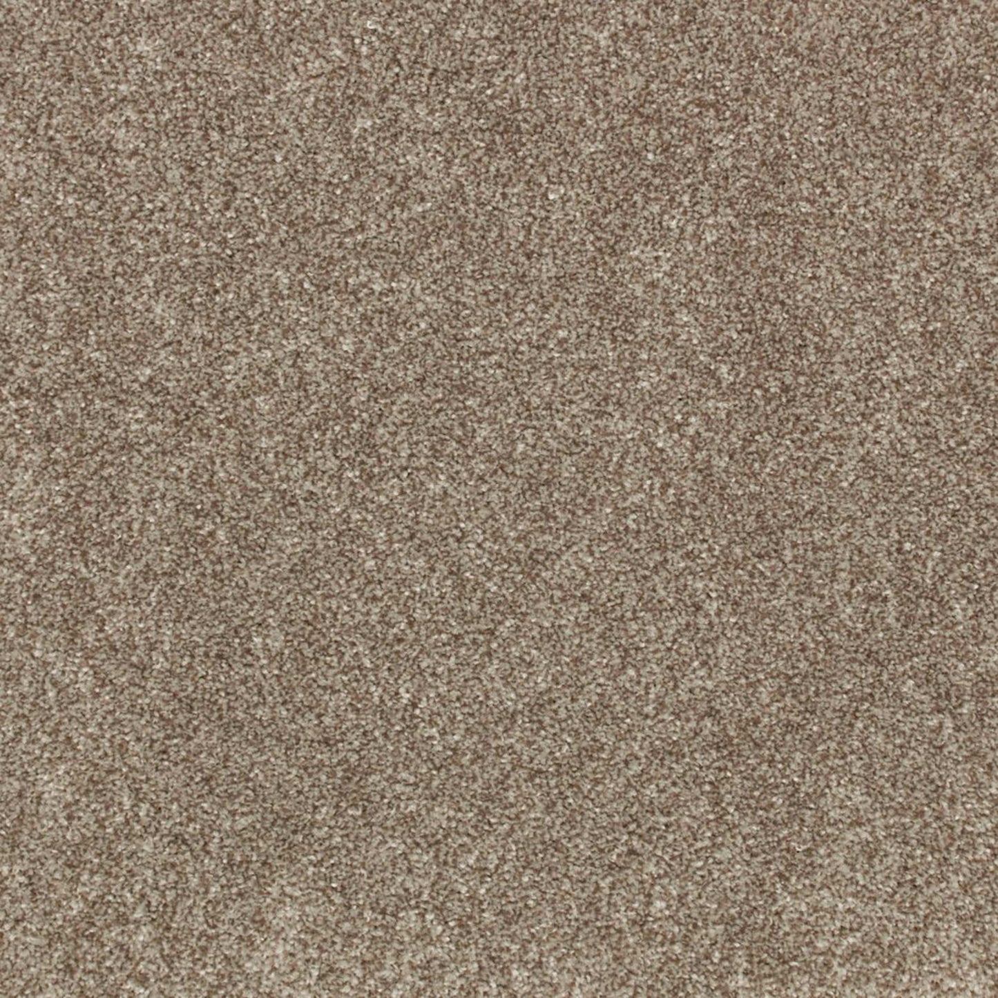 Industrial Tones in Hearthstone Carpet
