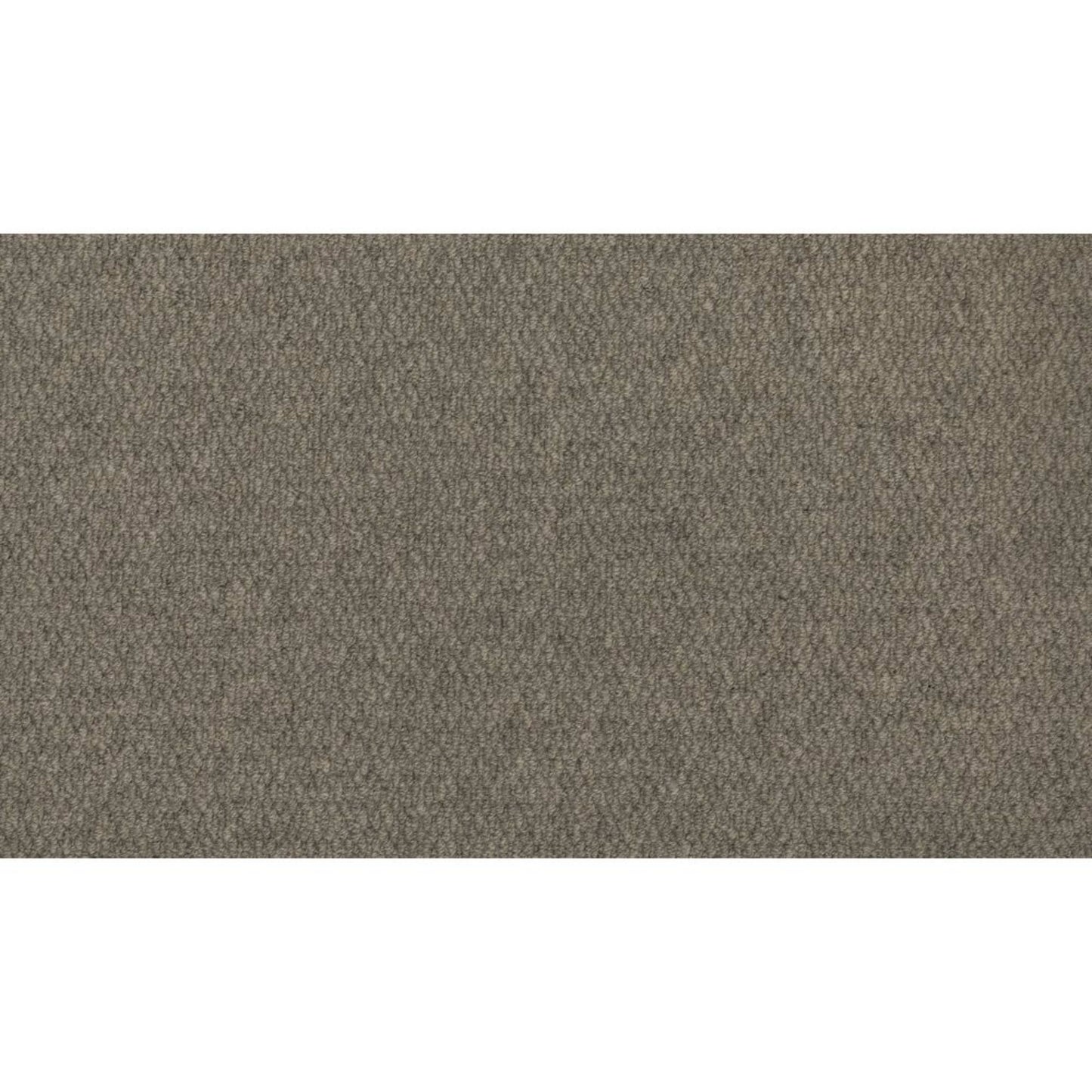 Canyon Ridge II in Slate Carpet