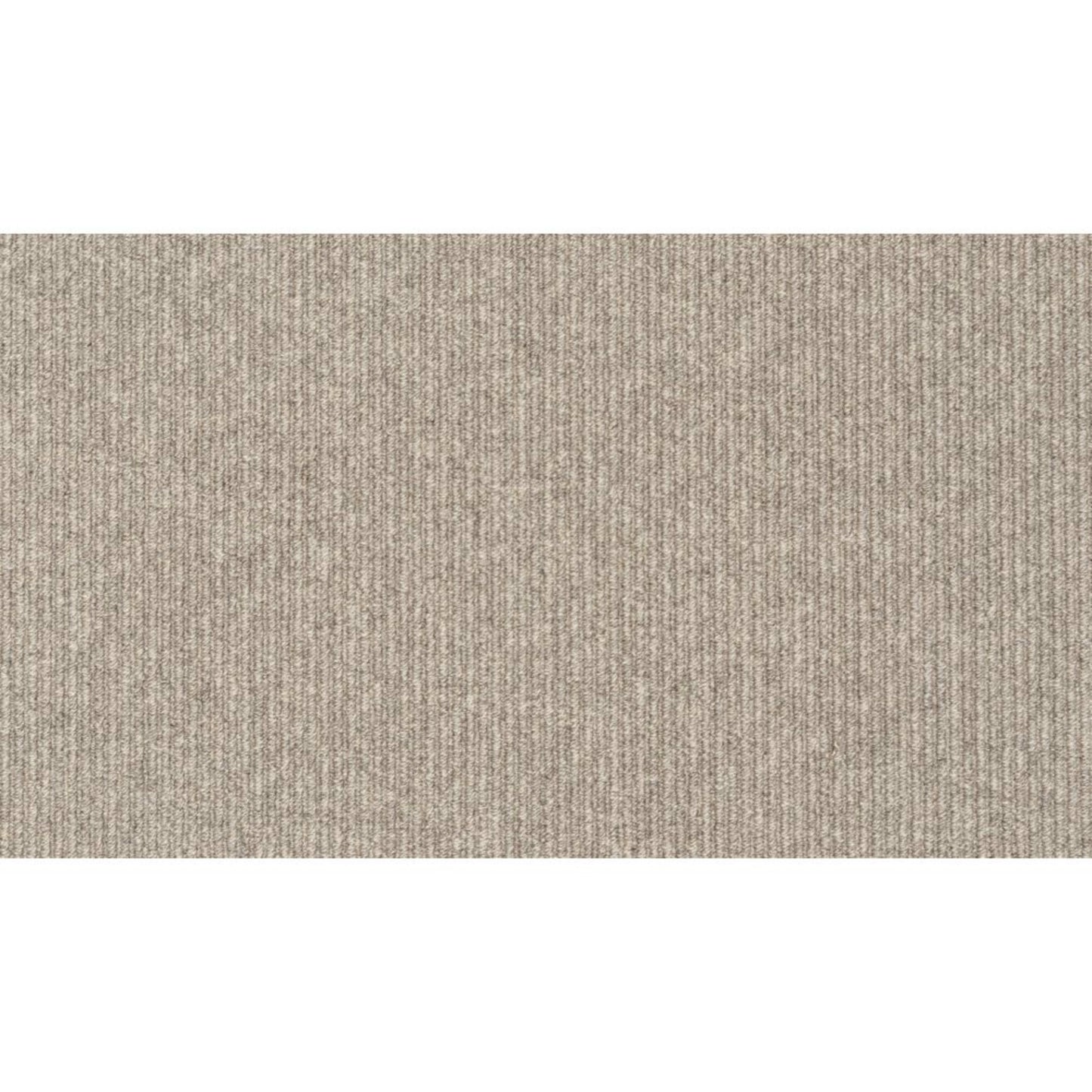 Tiburon II in Slate Carpet