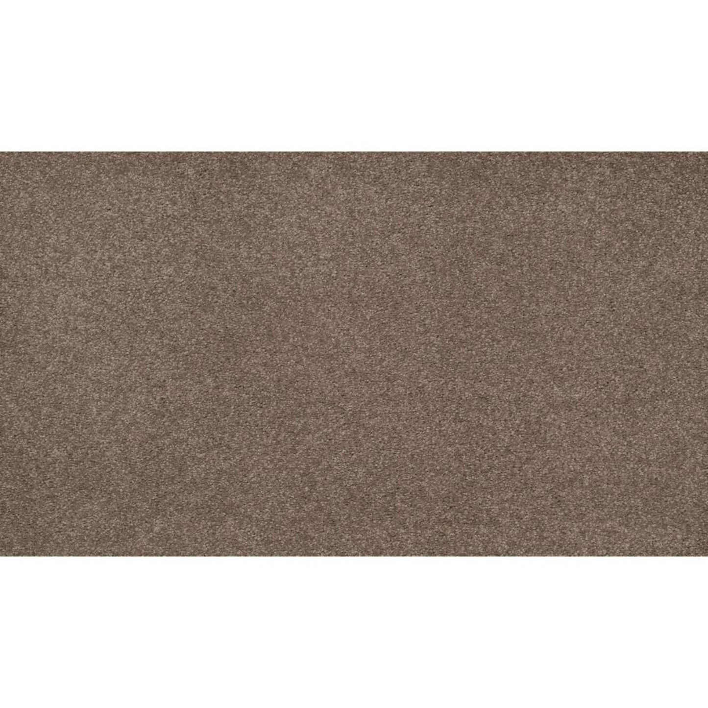 Opulent Tradition in Retreat Carpet