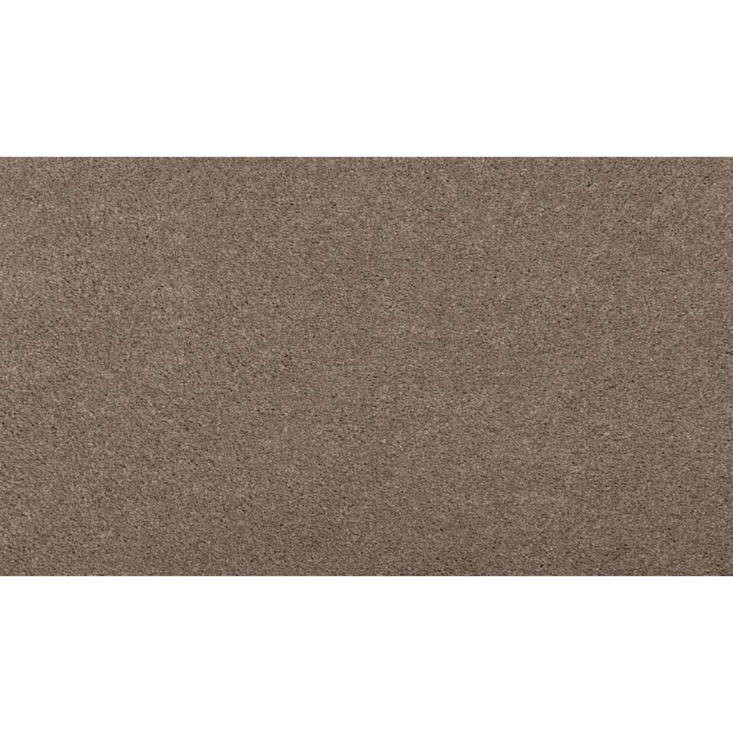 Luxurious Hues