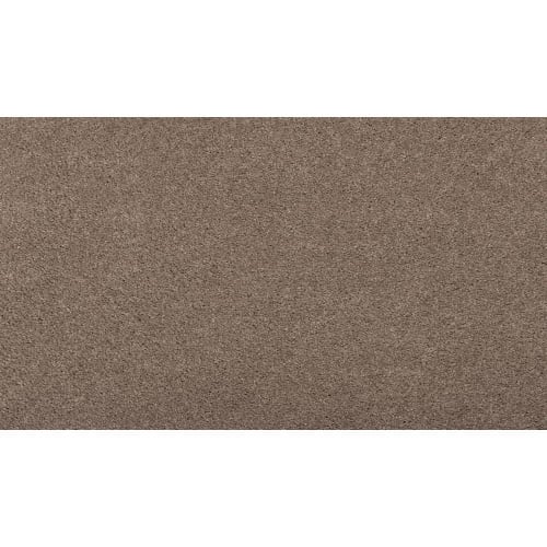 Luxurious Hues in Martini