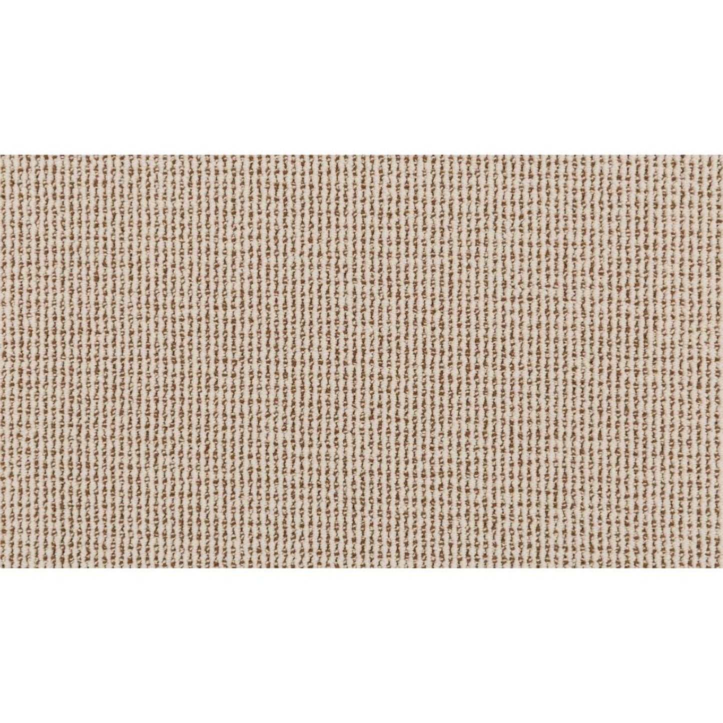 Curated Approach in Modal Carpet