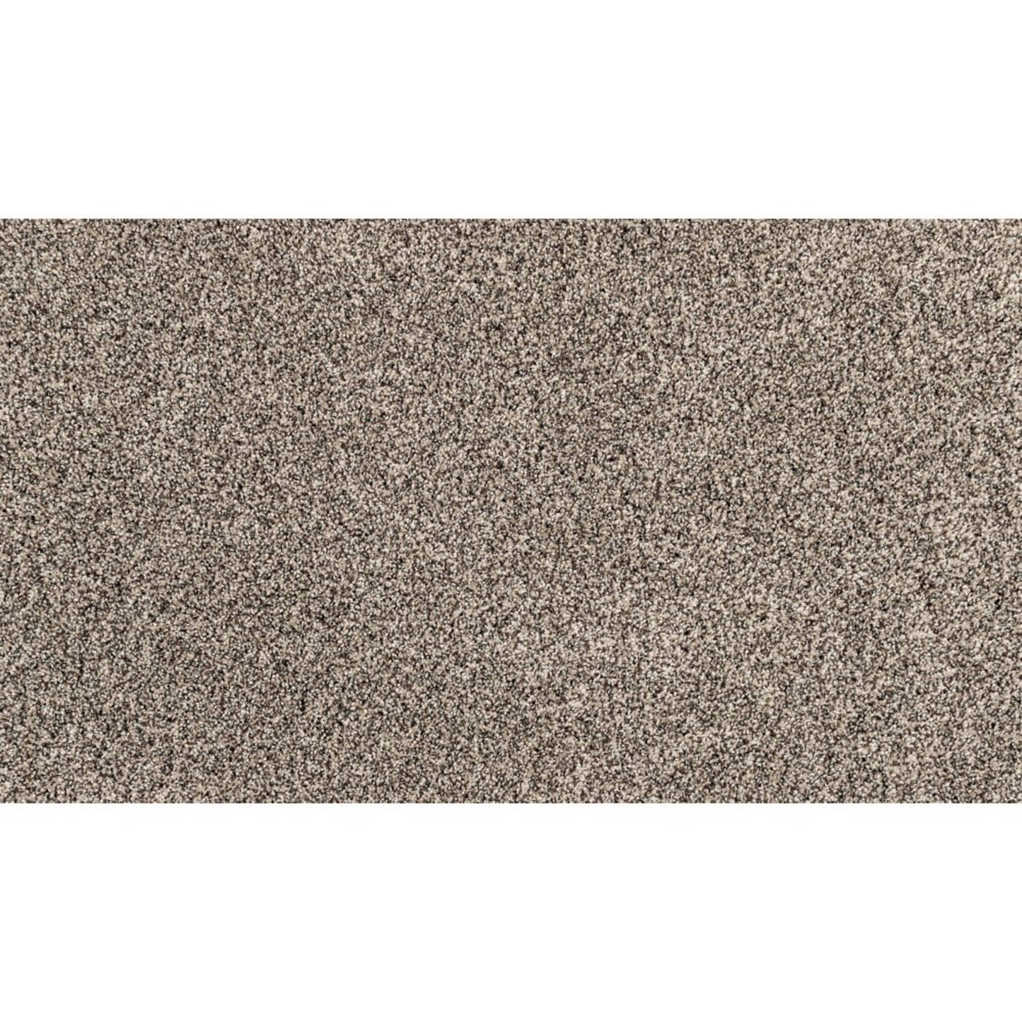 Candor in Versatile Carpet