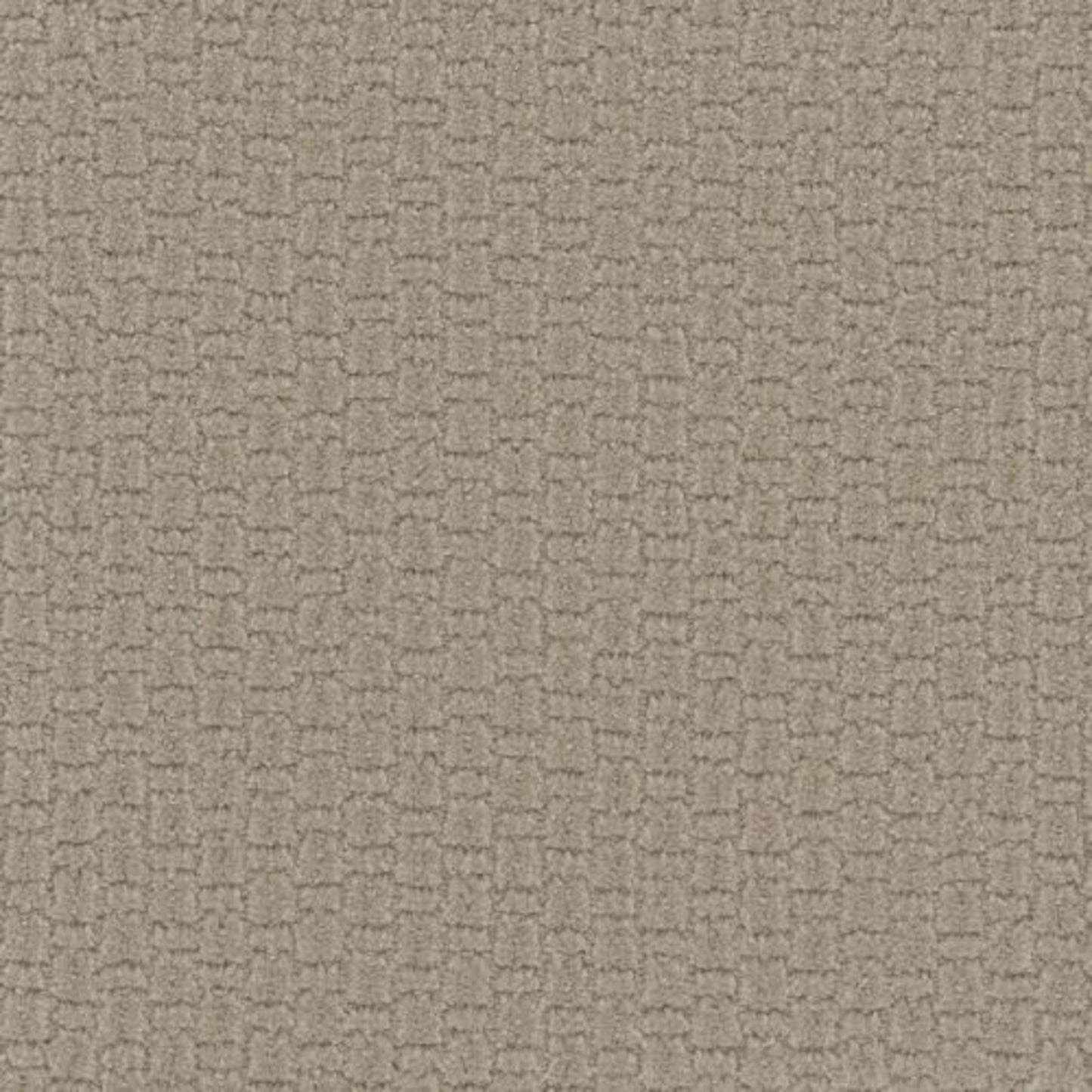 GRAND ISLE in Golden Glade Carpet