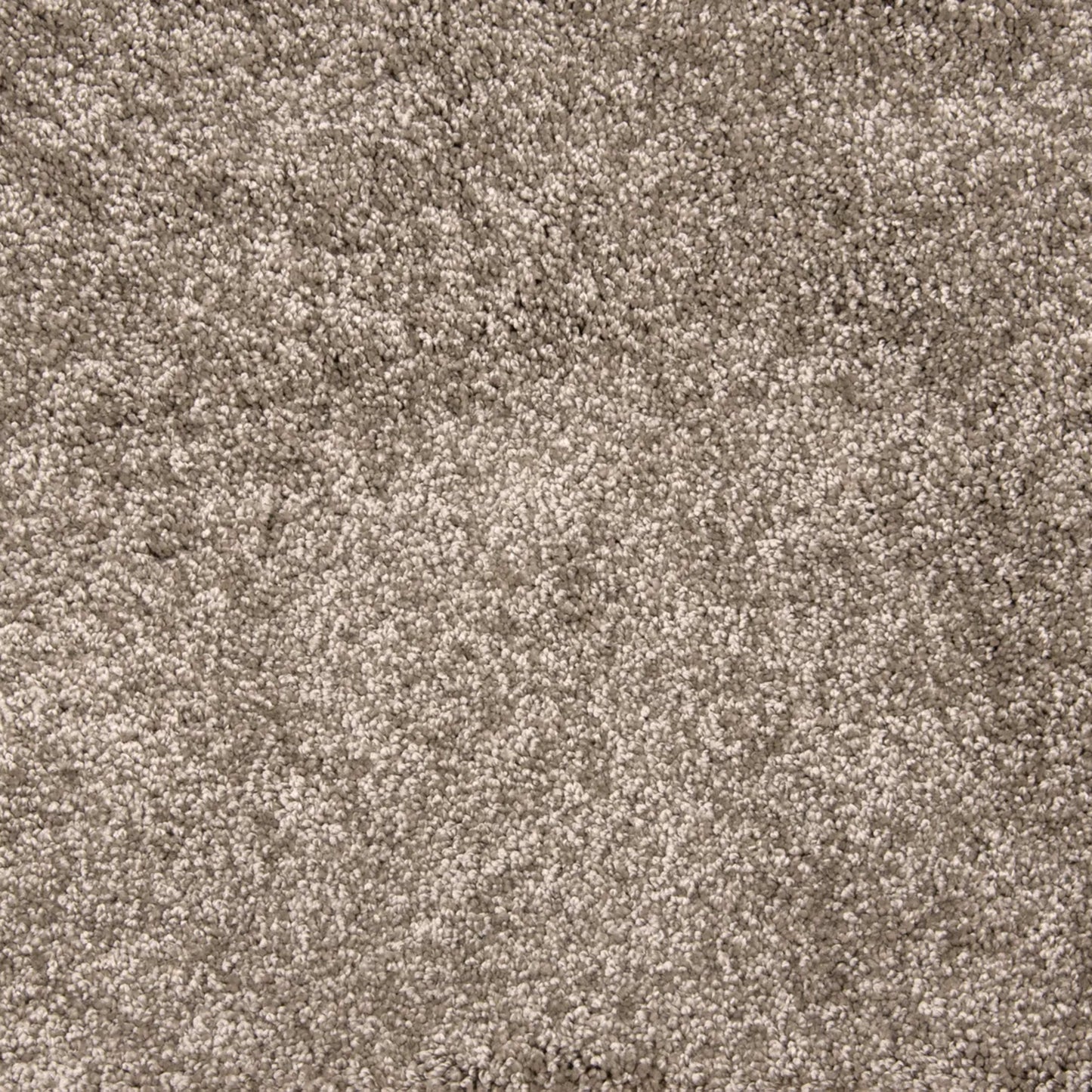 Grail in Mocha Carpet