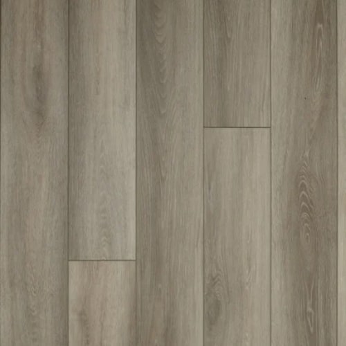 7 Series - Grove in Fossil