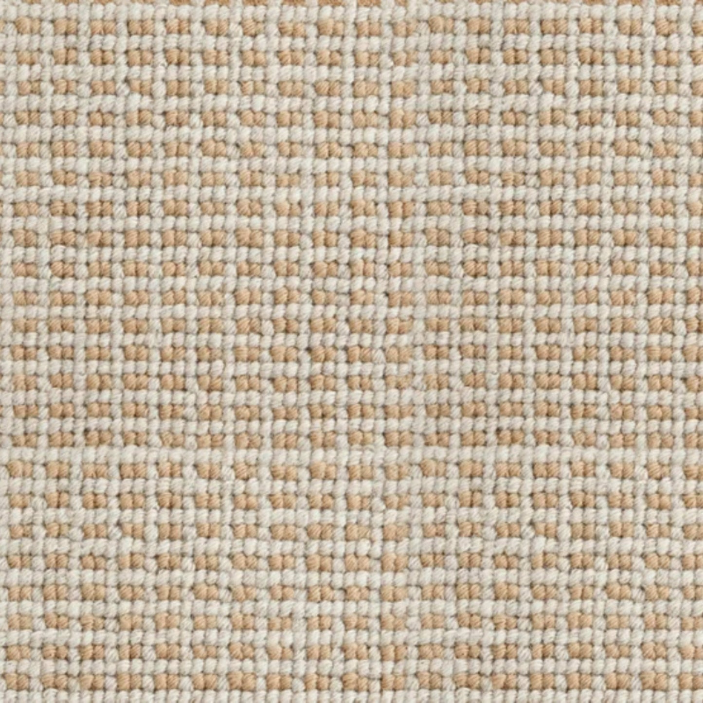 Homeland in Marigold Carpet
