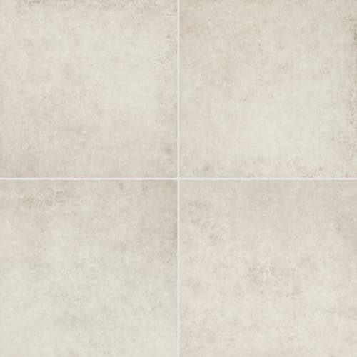 Historic Limestone in Tradition-24x48-Matte