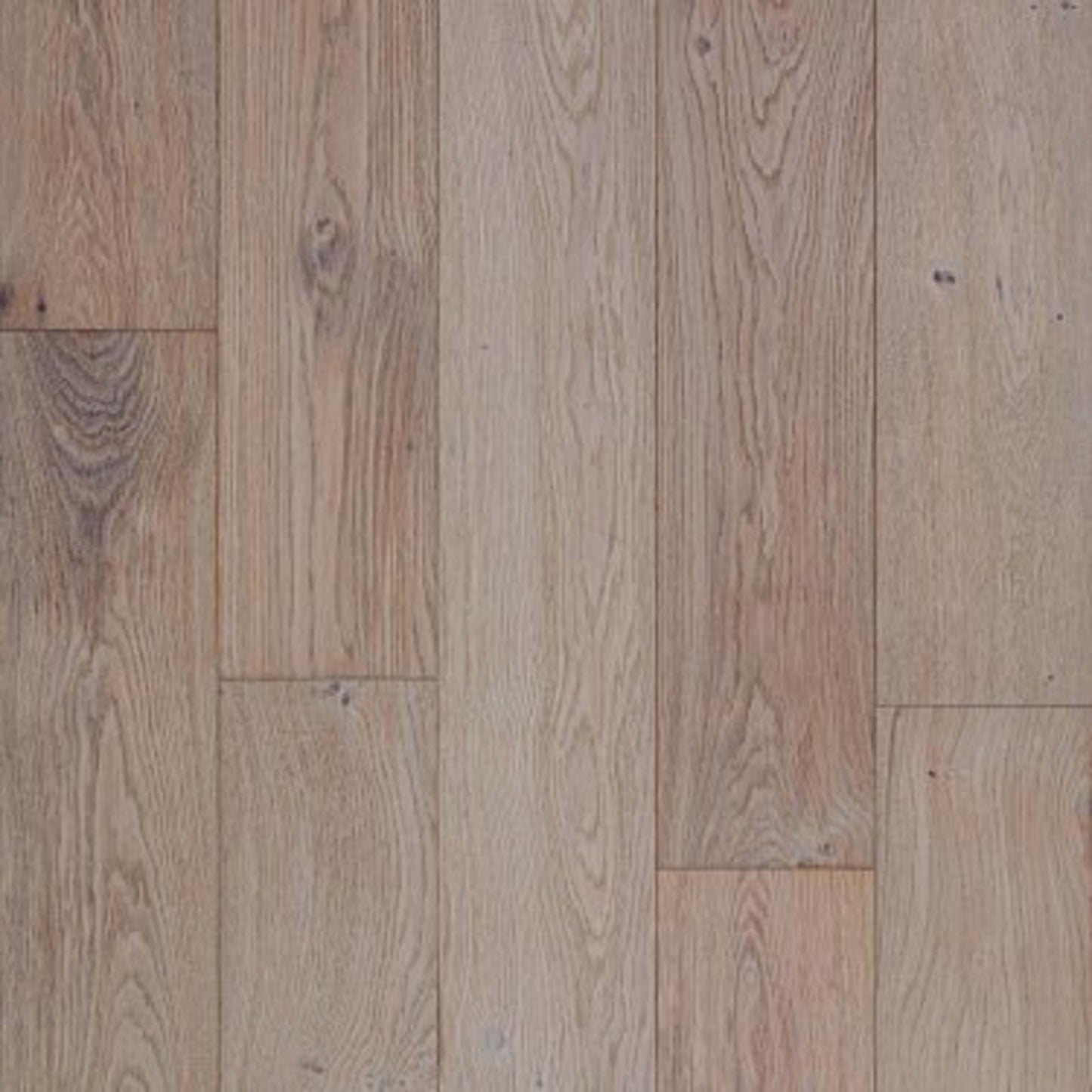 ELEGANCE OAK in Atelier Hardwood