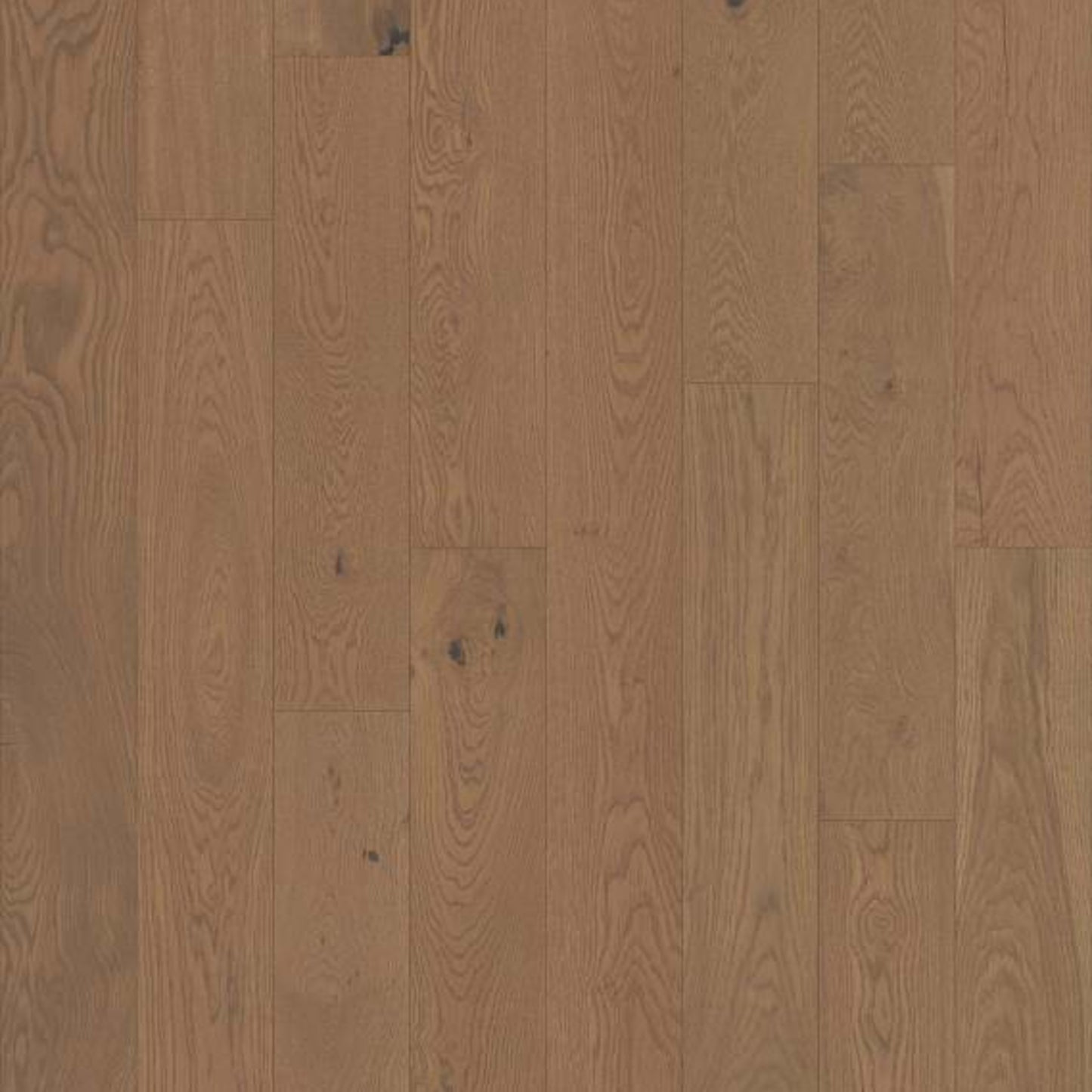 ELEGANCE OAK in Caramel Hardwood