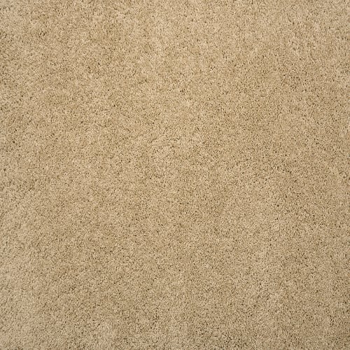 HAMPSHIRE in Tan