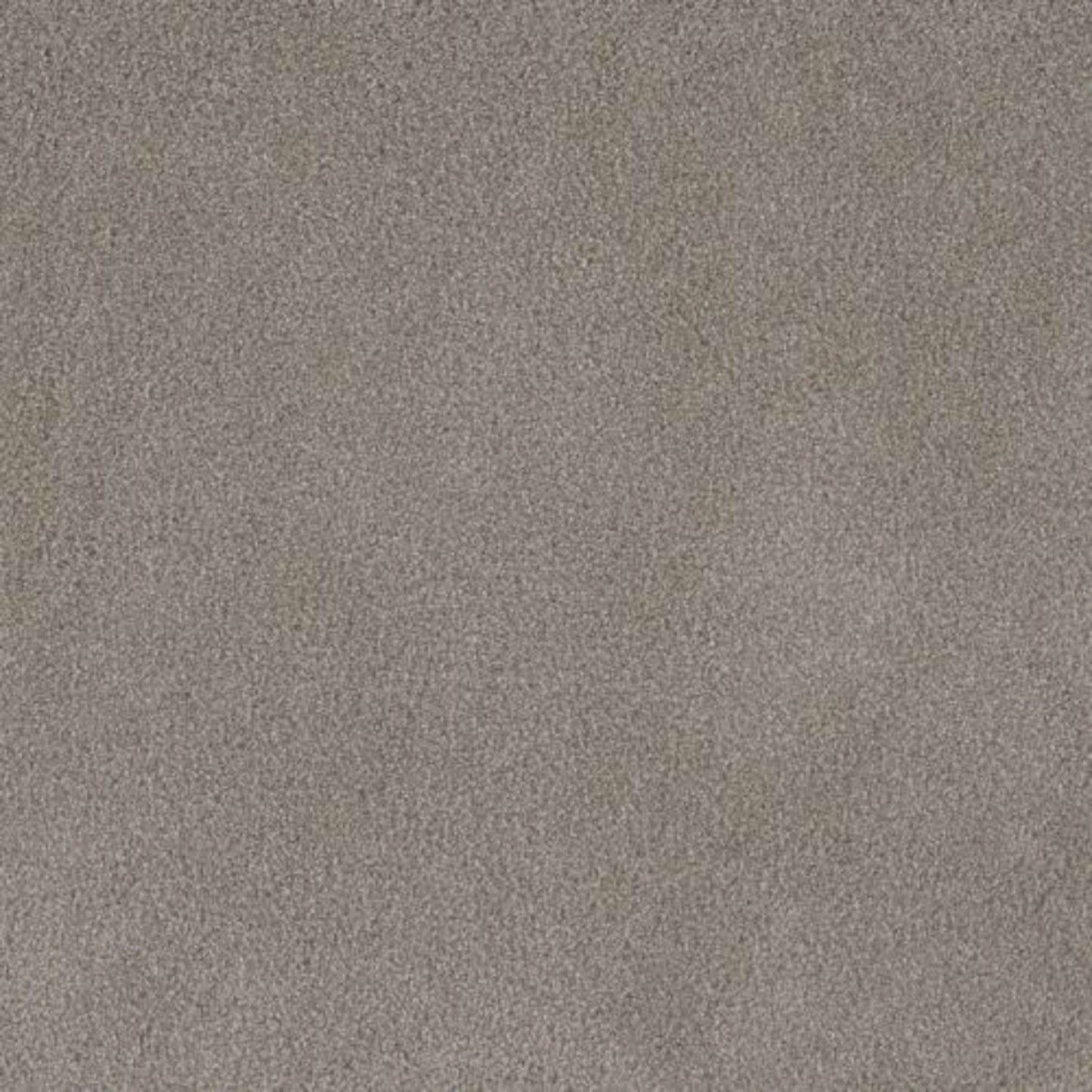 PALMETTO II in Havana Carpet