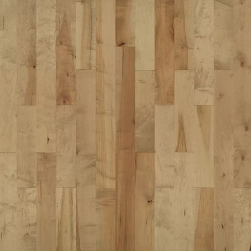 American Traditional Classics in Haystack Maple