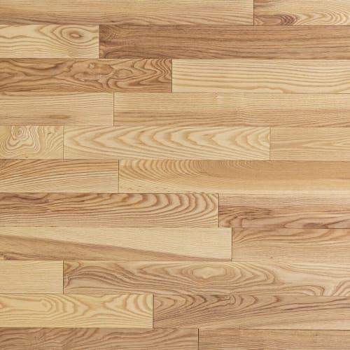 Hudson in Cedar