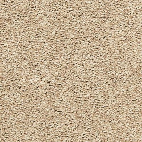 Inspiring in Hickory Bark