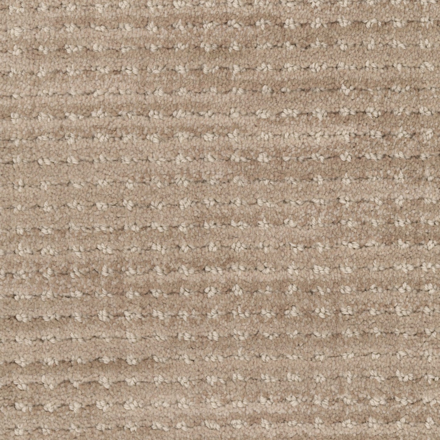Imagine in Sensibility Carpet