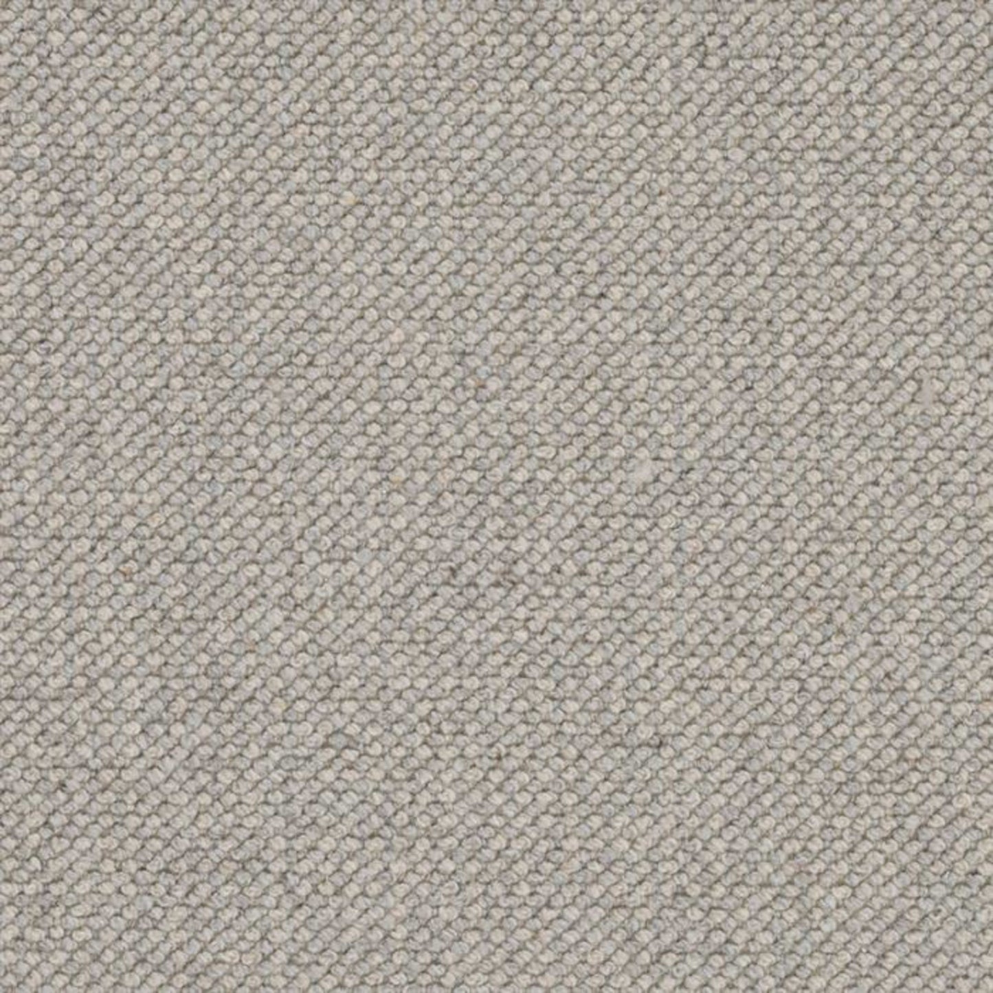 Intention in Ash Carpet