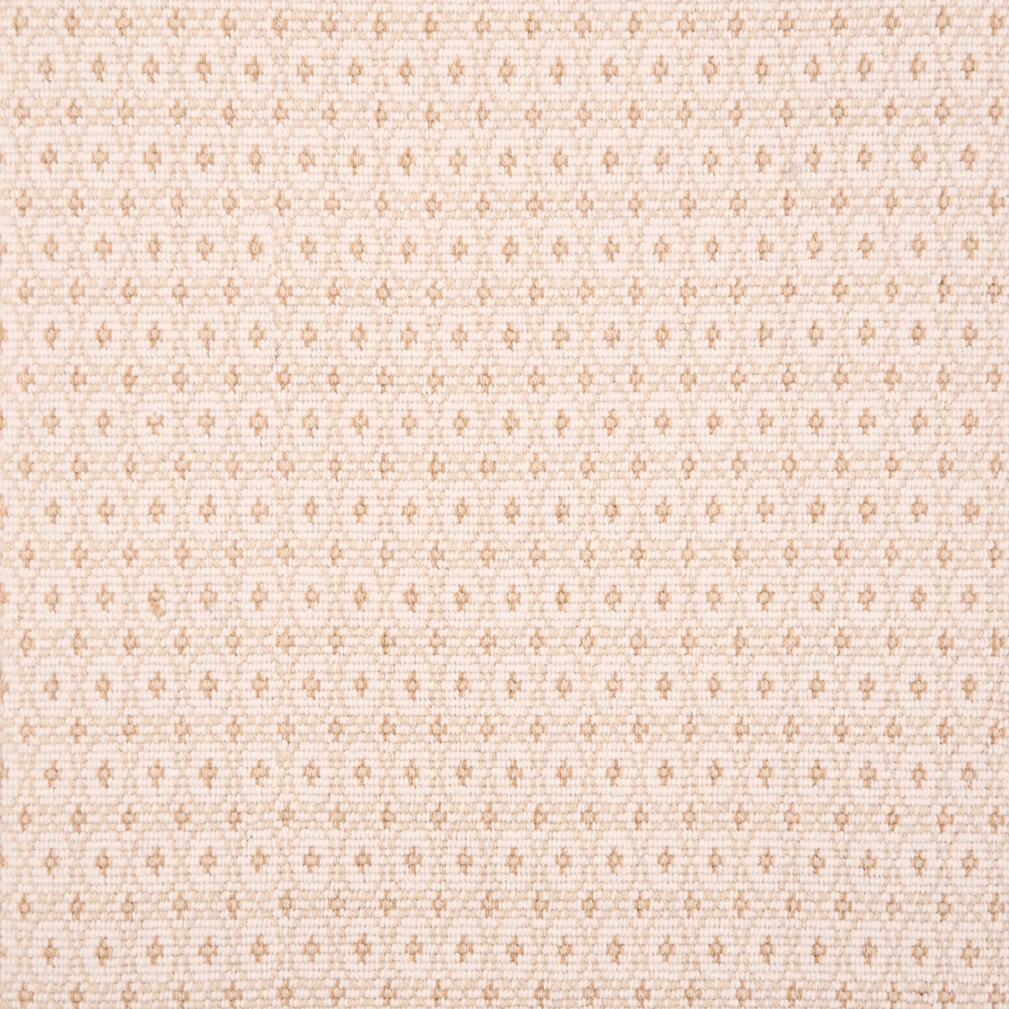 Jacqueline in Sepia Carpet