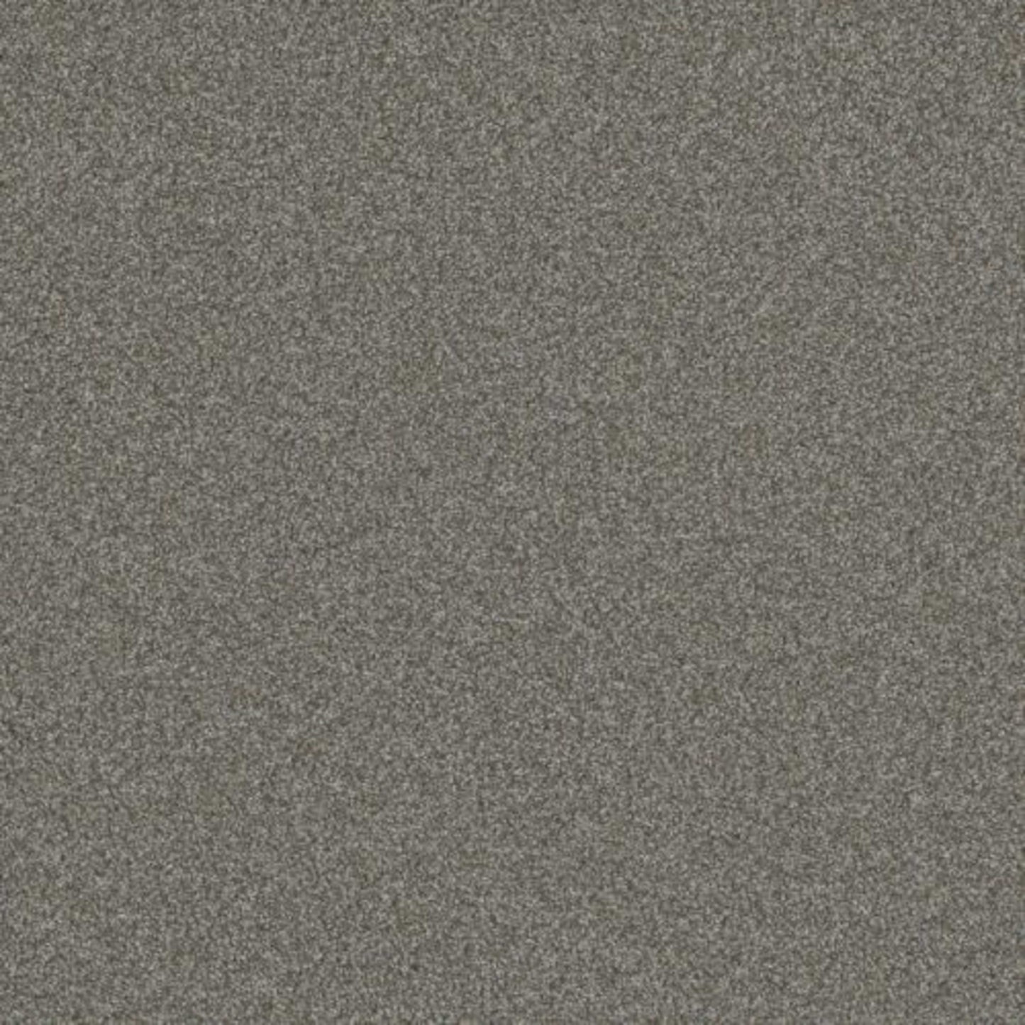 BLAZER III in Jadestone Carpet