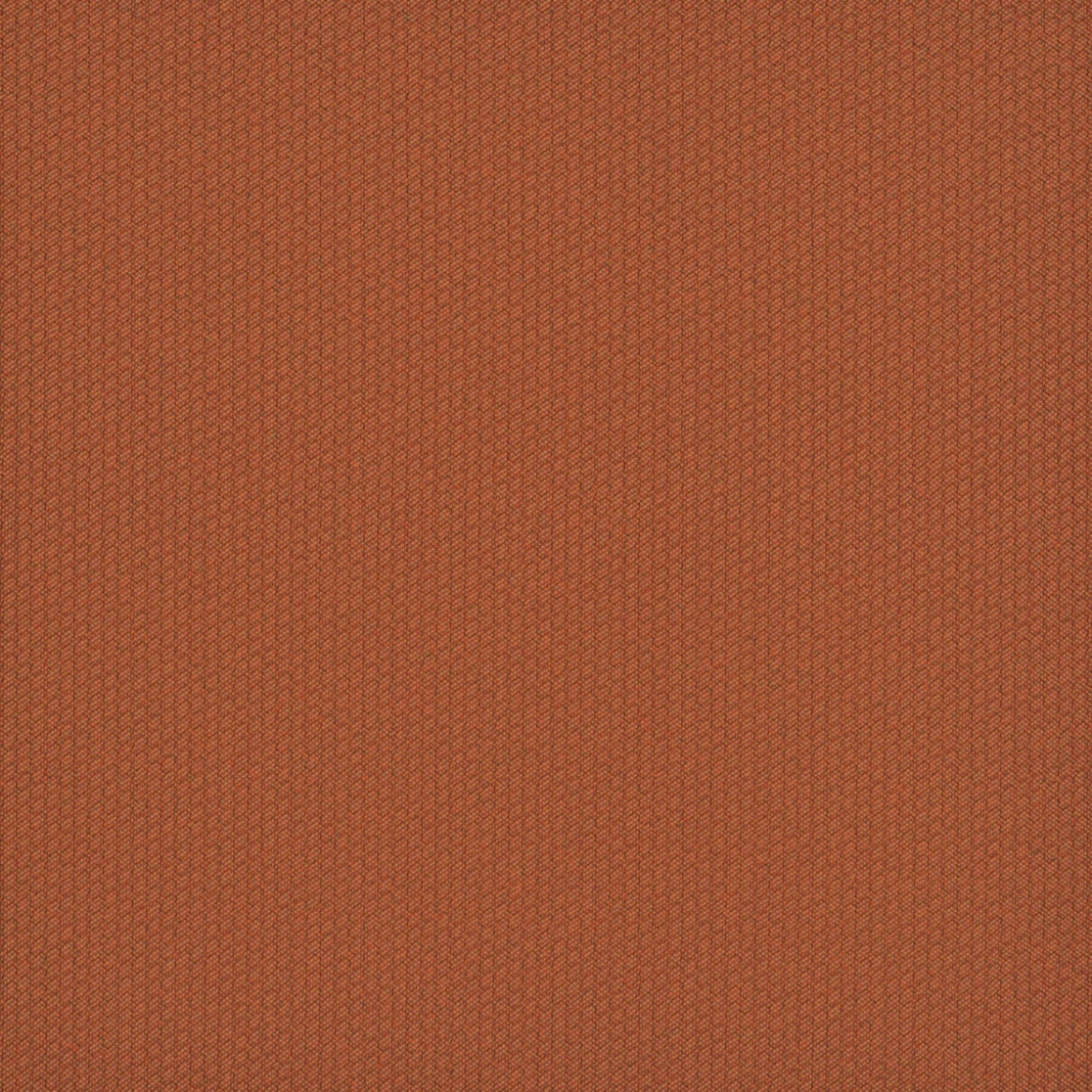 Dart 24x24