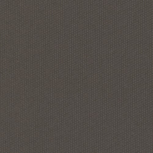 Dart 24x24 in Bolt