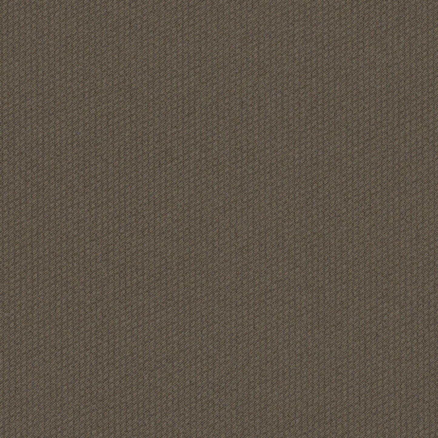 Dart 24x24