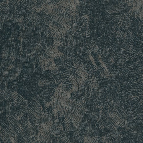 Imprint in Cadet